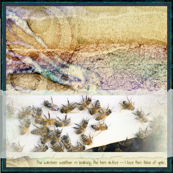 Bees1.jpg
