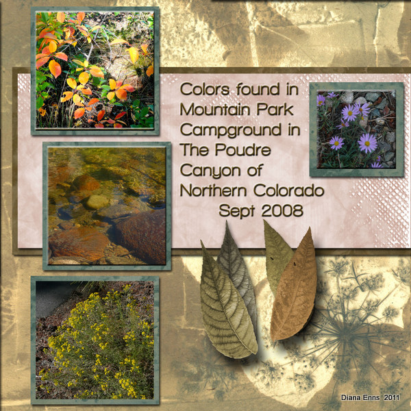 template 6 - Colors in the Poudre 2_edited-4.jpg