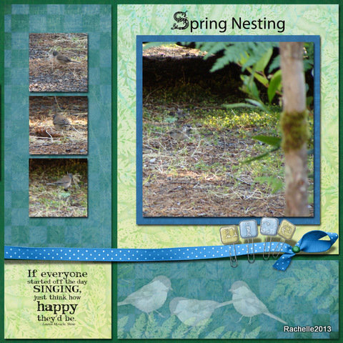 Spring Nesting_edited-1.jpg