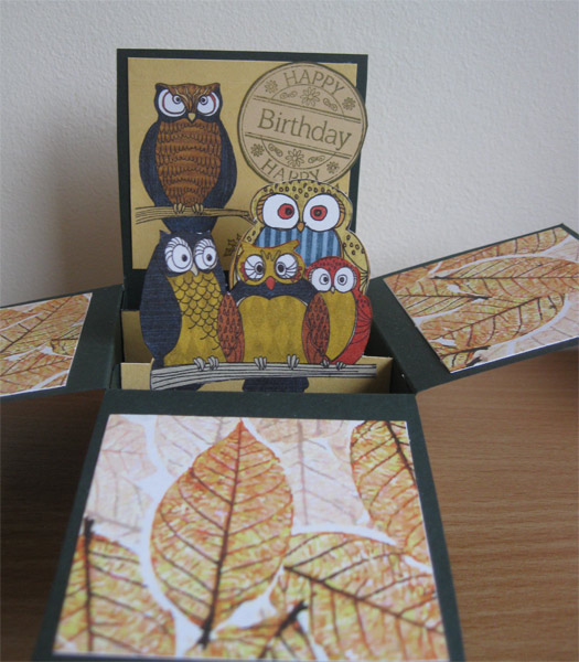 Owl-Box-Card-01.jpg