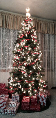 OurTree2014.jpg