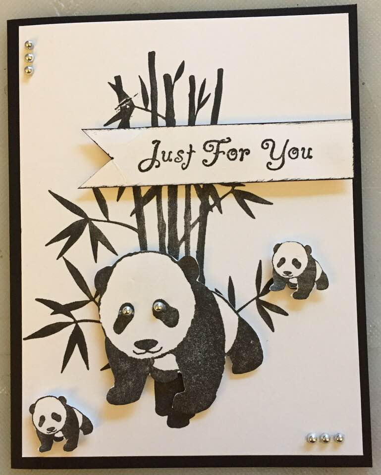 panda.jpg