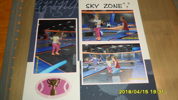 Sky Zone 1.jpg