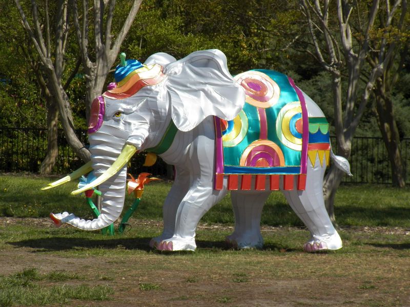 elephant.jpg